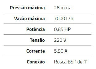 Pressurizador Rowa Max Press 30E 220v 