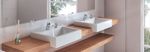 988373_00767738-torneira-para-banheiro-com-regulador-de-tempo-pressmatic-join-bacteria-free_z1_637299160786758716