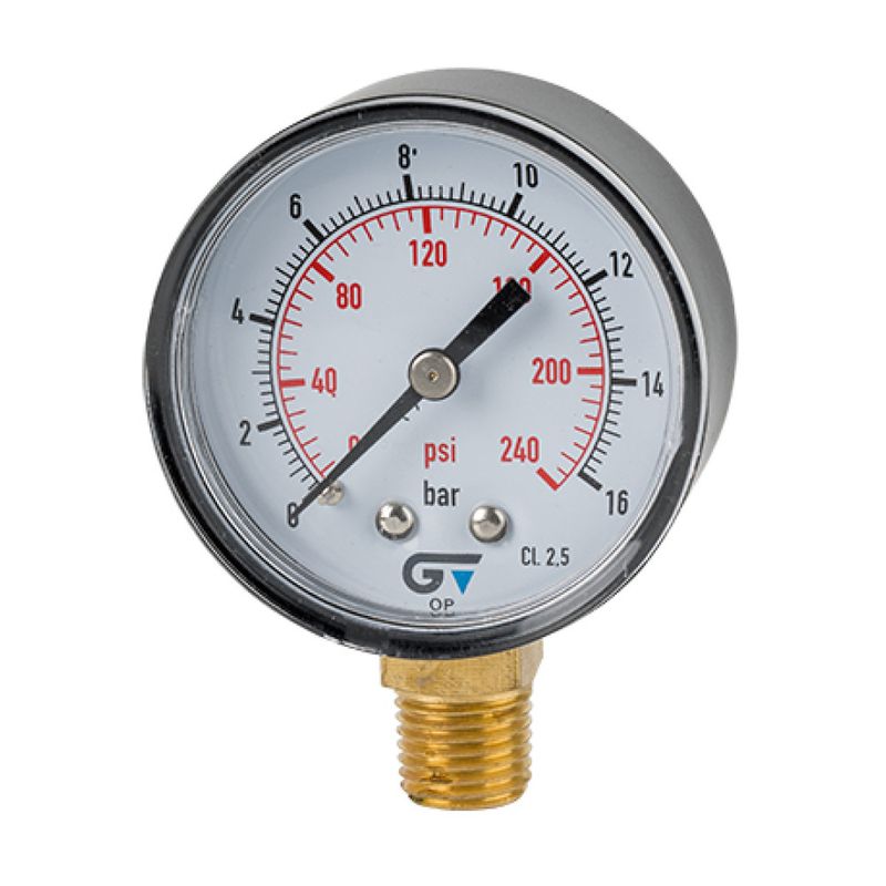 Manômetro com Glicerina em Inox DN100 com Saída Vertical e Rosca BSP de 1/2" Genebre