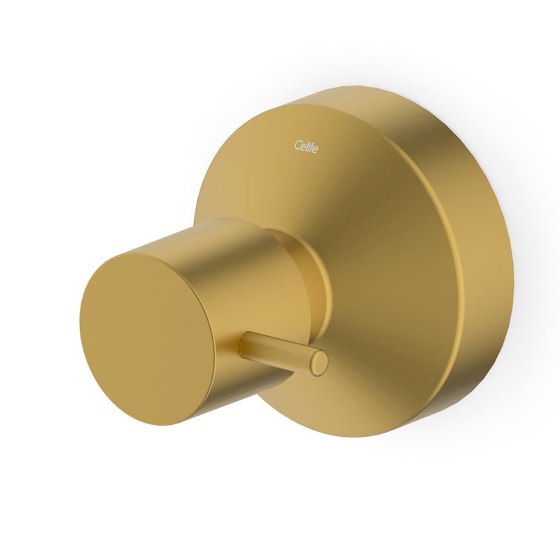 Acabamento para Registro Base Deca de 1.1/2" Basic Gold Matte Celite