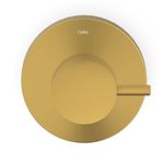 Acabamento para Registro Base Deca de 1.1/2" Basic Gold Matte Celite