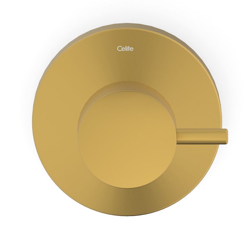 Acabamento para Registro Base Deca de 1.1/2" Basic Gold Matte Celite
