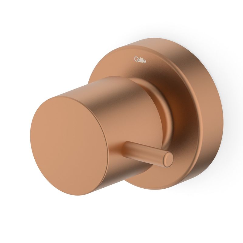 Acabamento para Registro Base Deca até 1" Basic Rose Gold Matte Celite