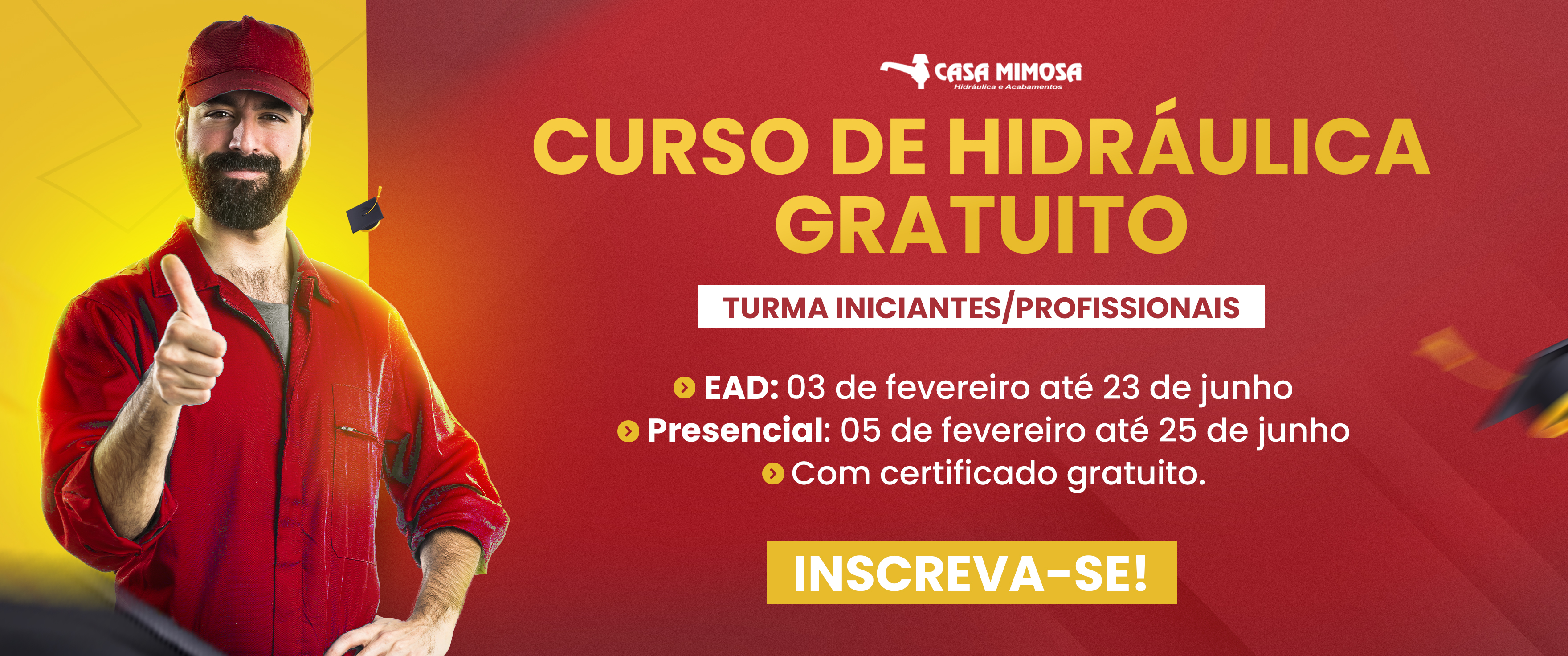 imagem1